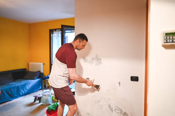 Best Health and Safety Mold Remediation in Gilbertsville, PA